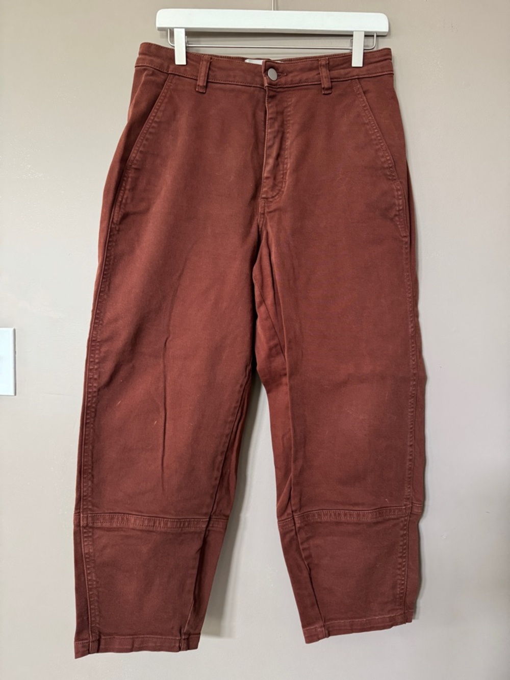 Everlane Rust Cotton Utility Barrel Pant